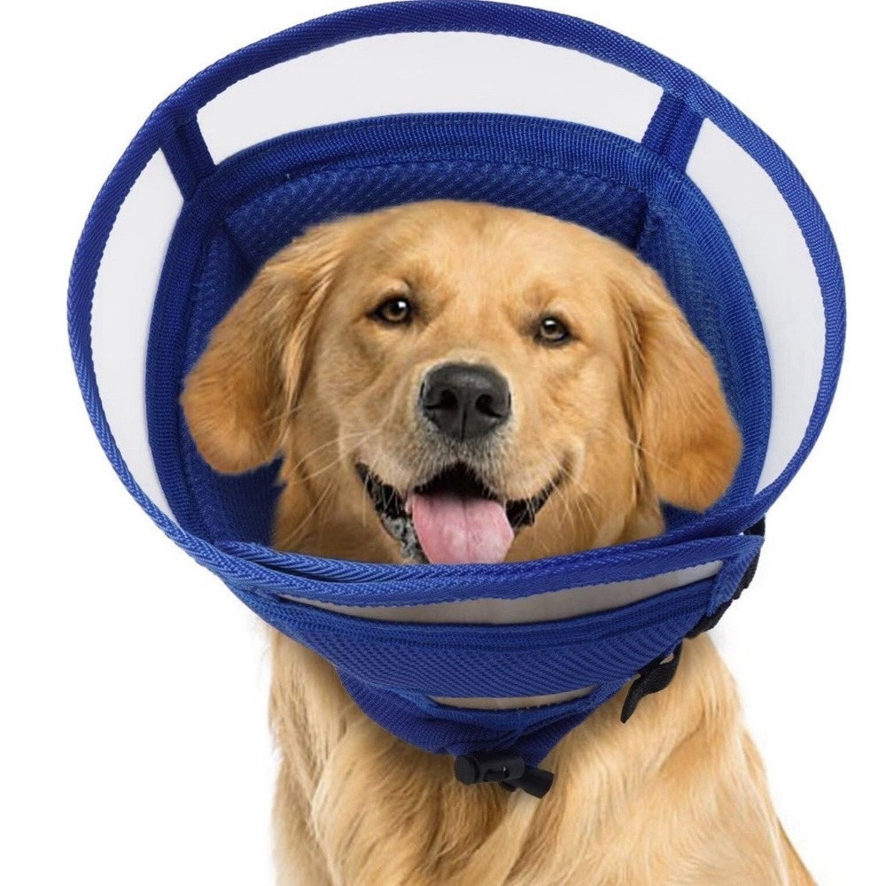 AuraPaw Soft Dog Cone For Dogs After Surgery,Foldable Blue,XL